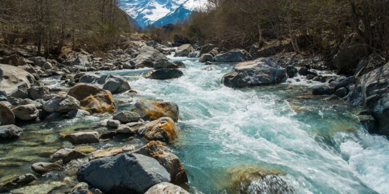 हिमाचल प्रदेश में Beas River का दृश्य